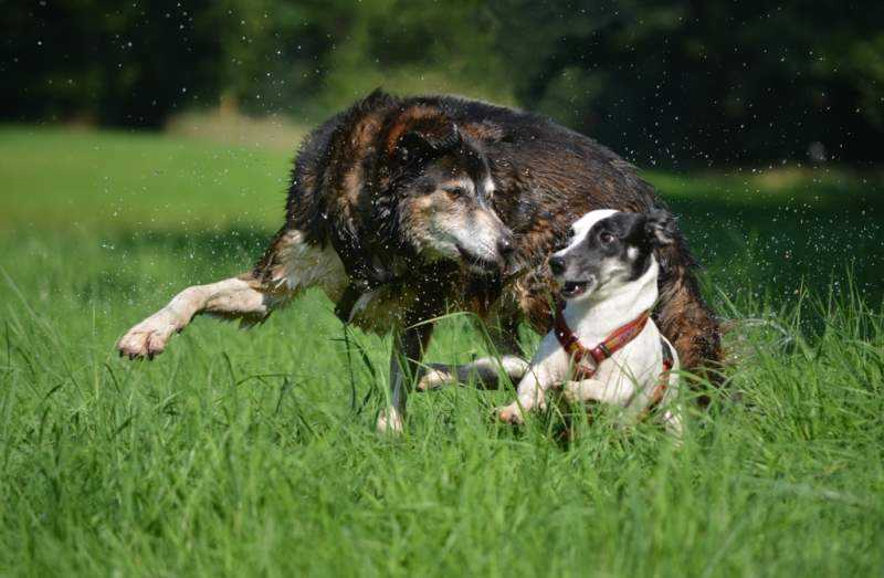 /bilder/Teilnehmergalerie/Fotografie-professionell-gemacht/Anja_Grabowski_02.jpg